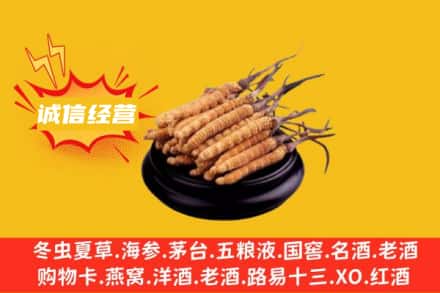 广州回收冬虫夏草